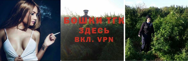 гидра Гусев