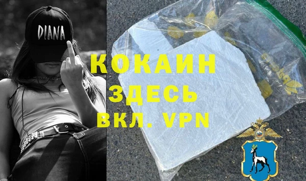 гидра Гусев