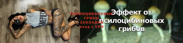 Альфа ПВП Горнозаводск