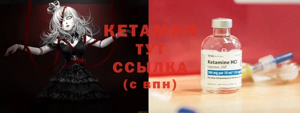 гидра Гусев