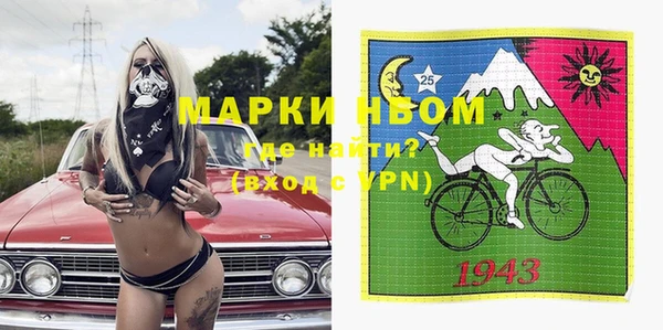 гидра Гусев