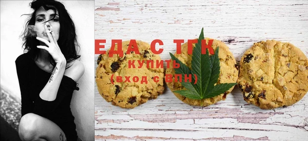гидра Гусев