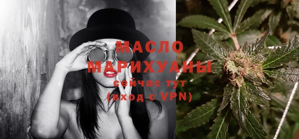 гидра Гусев